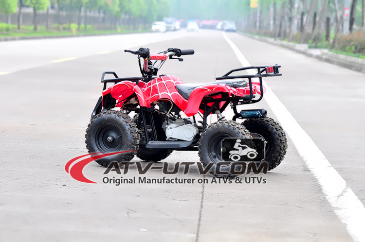 Gas Little Bull 49CC 2 stroke ATV Quad bike for Kids